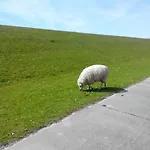 Lejlighed Auf Dem Alten Deich
