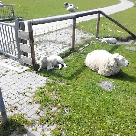 Auf Dem Alten Deich * Sande