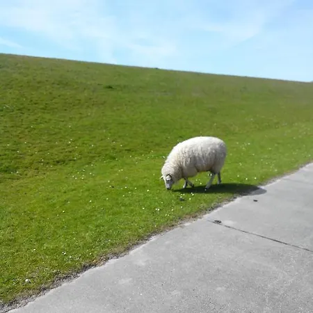 Apartamento Auf Dem Alten Deich